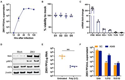 RIG-I and MDA5 are modulated by bone morphogenetic protein (BMP6) and are essential for restricting Zika virus infection in human Sertoli cells